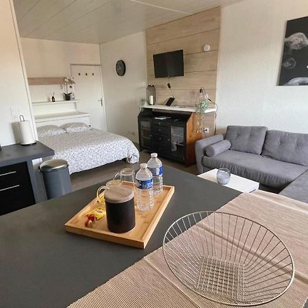 Studio Cocooning Hauteur De Saint-Raphael #2 エクステリア 写真