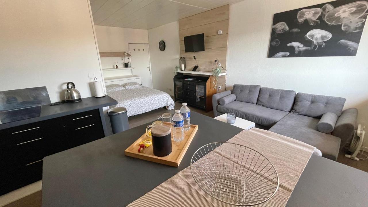 Studio Cocooning Hauteur De Saint-Raphael #2 エクステリア 写真