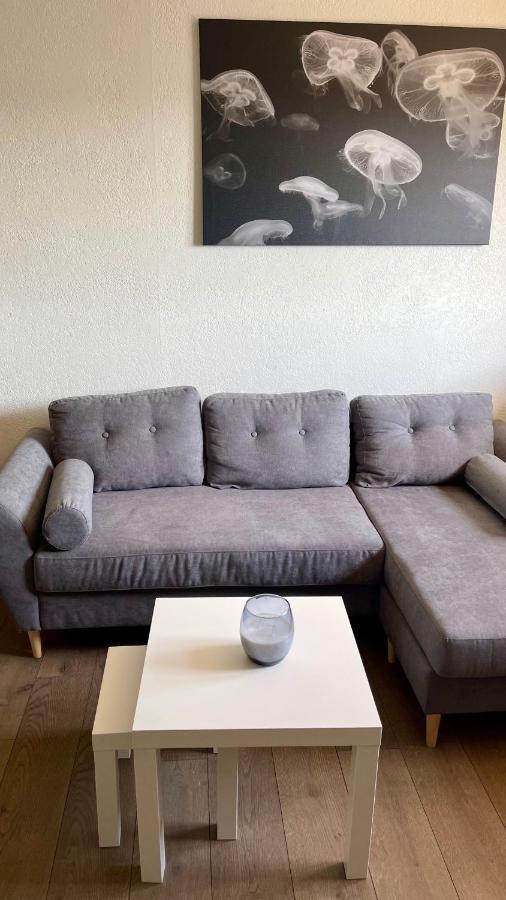 Studio Cocooning Hauteur De Saint-Raphael #2 エクステリア 写真